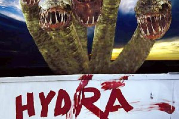 Hydra web com